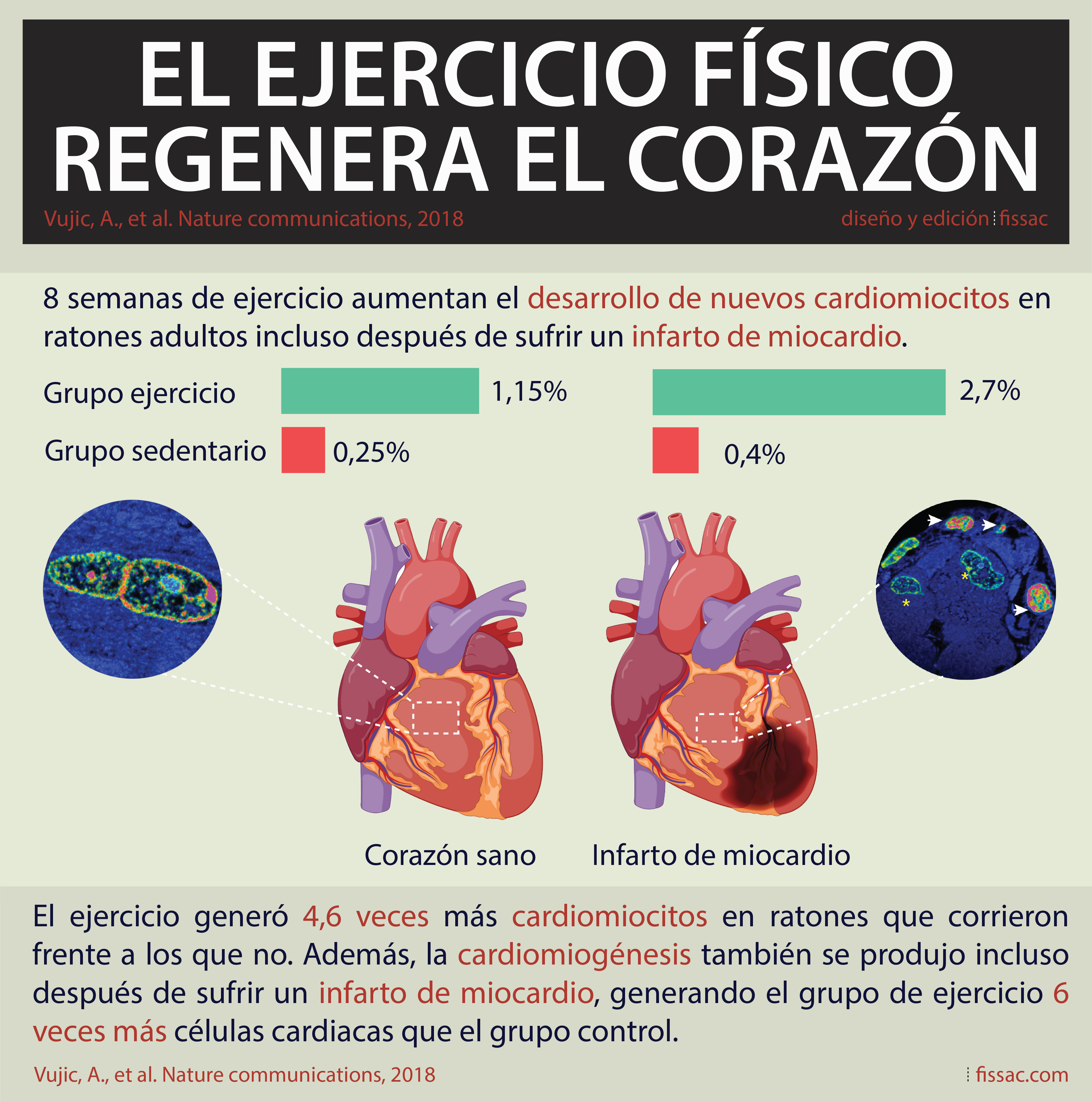 Coraz N Archivos Fissac Fisiolog A Salud Y Actividad F Sica