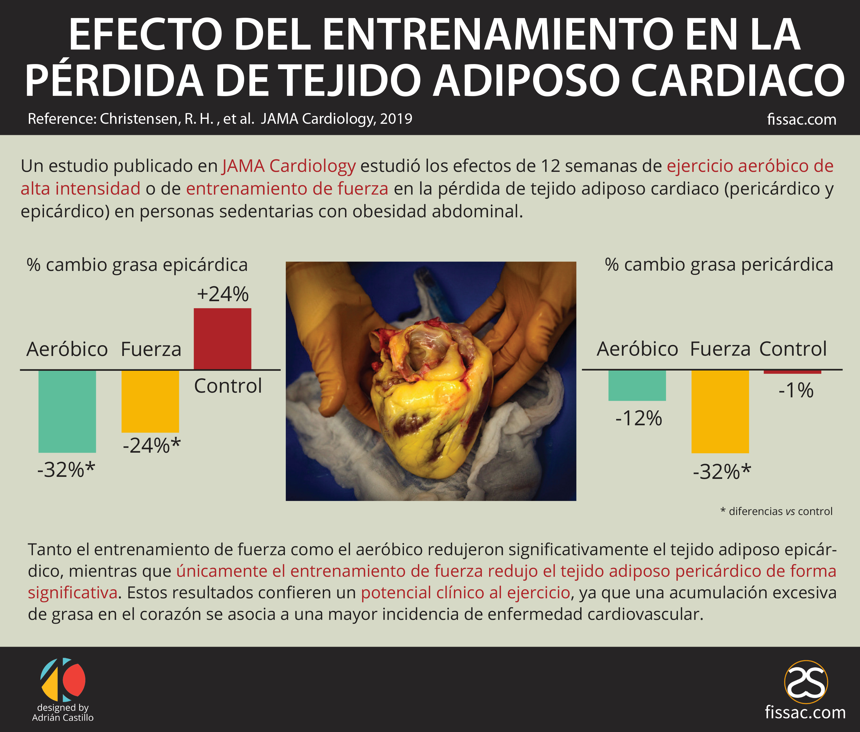 Efecto Del Entrenamiento En La P Rdida De Tejido Adiposo Cardiaco