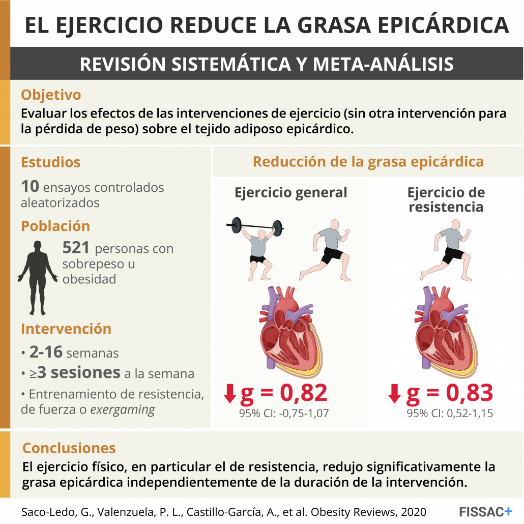 Qué es la grasa epicárdica y cómo le afecta el ejercicio físico Fissac