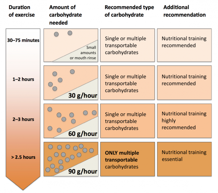 ¿cuánto Y Qué Tipo De Carbohidratos Tomar Durante El Ejercicio De Resistenciaemk 9647