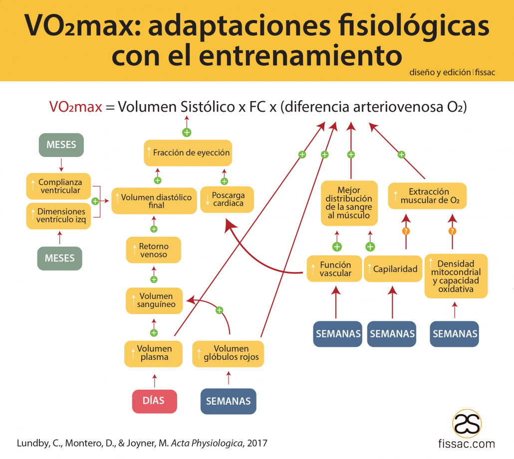 Vo2max Adaptaciones Fisiológicascon El Entrenamiento Fissac 7390
