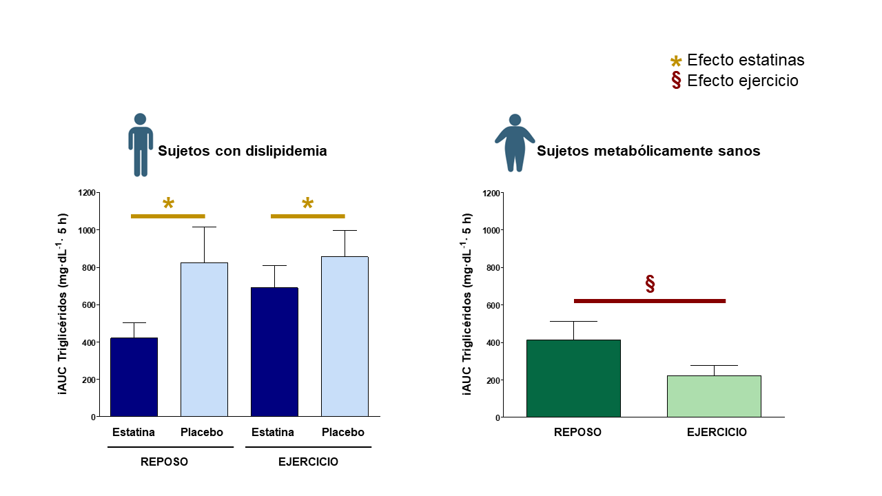 fig-3-statins-and-exercise-l-a-fissac