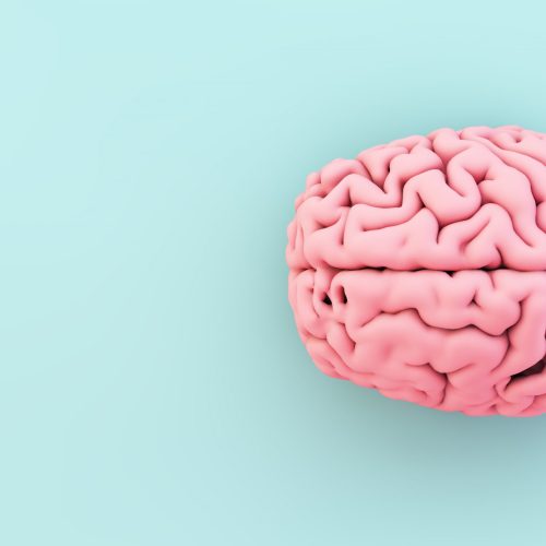minimal pink brain on blue background 3d rendering